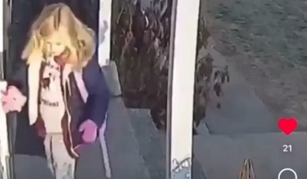 Девочка и енот Девочка и енот