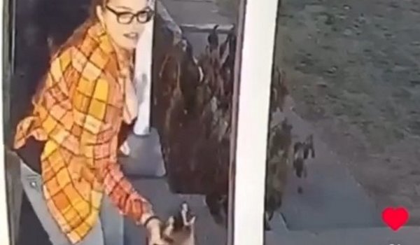Девочка и енот