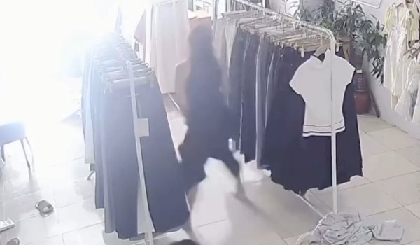 Норку перепутала