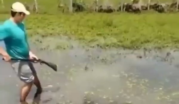 Ружье вместо палки