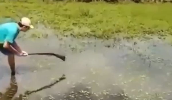 Ружье вместо палки