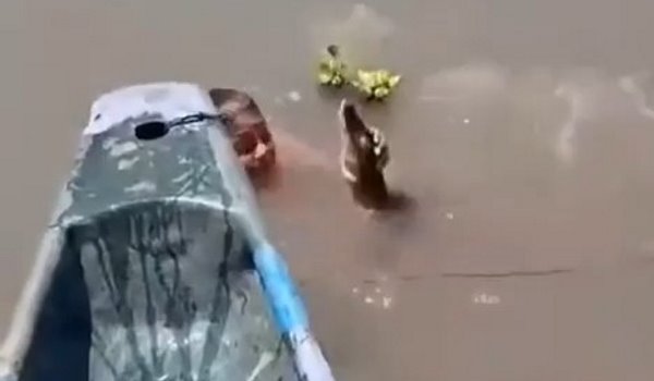 Ловец крокодилов